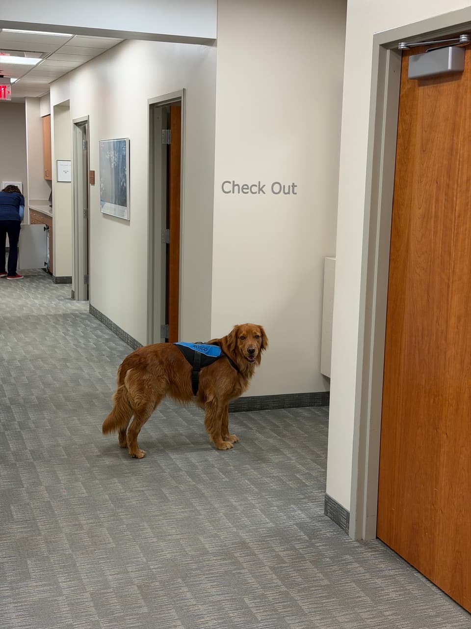 Rosco standing in the office hallway wearing a vest labeled Rosco