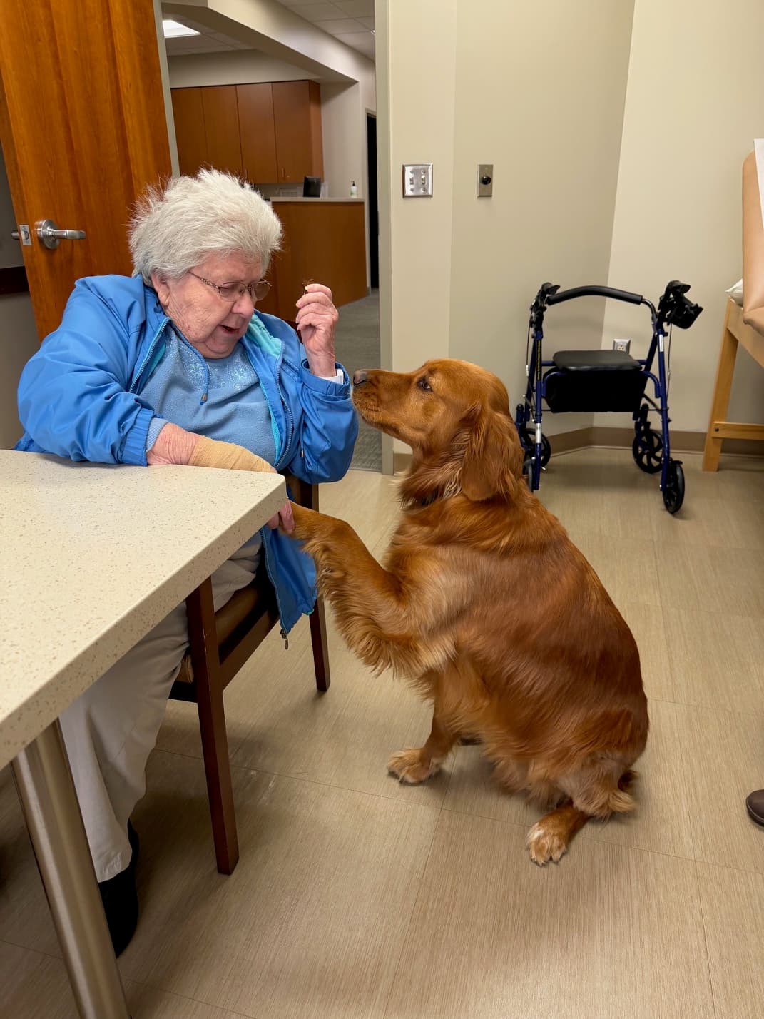 Rosco offering his paw to a seated patient at a consultation table